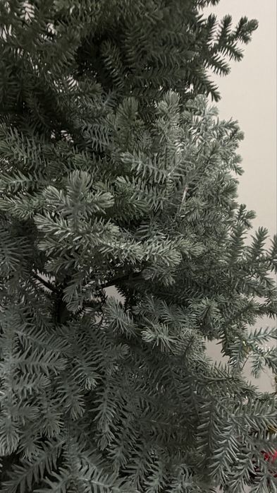 Продам елку красивую
