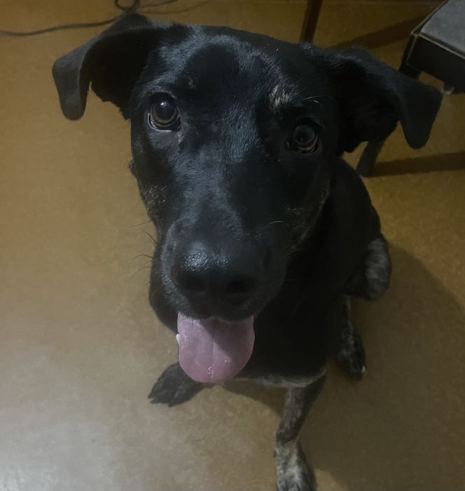 в добрые руки ,подросток