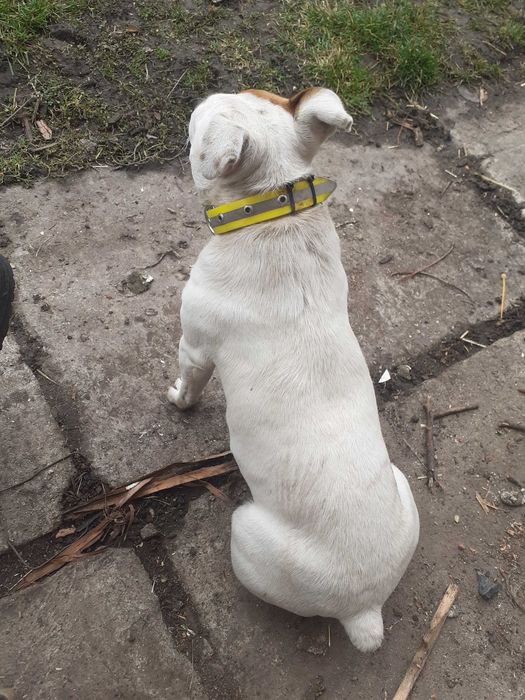 Търси се откраднато от гр костинброд