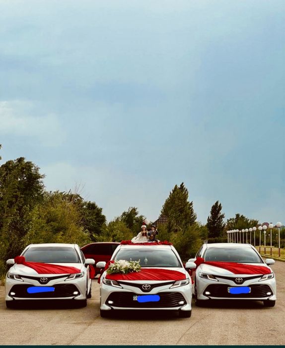 Кортеж аренда авто