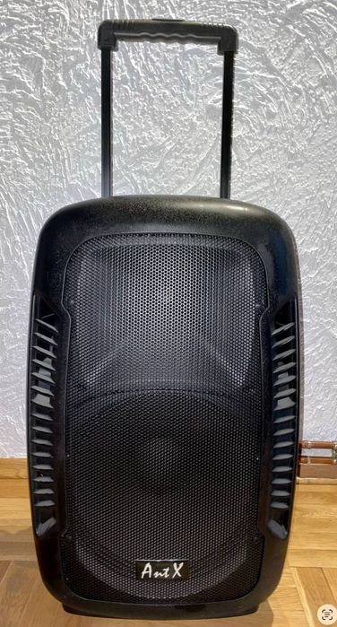 Тонколона с батерия и два микрофона