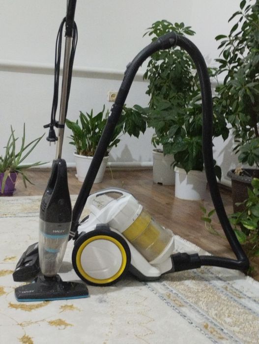 Томпақ әйелдердің порно видеолары