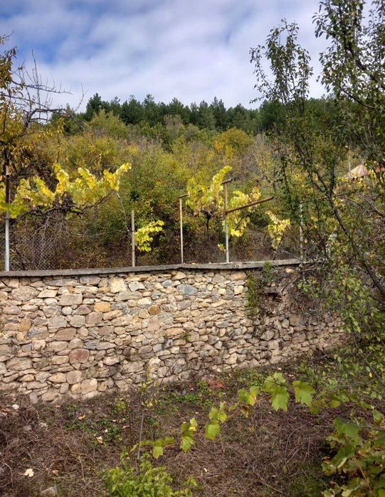 Продава се Парцел в с. Шипочано, Област Кюстендил - 969 кв.м за 19 €/кв.м - Снимка #7