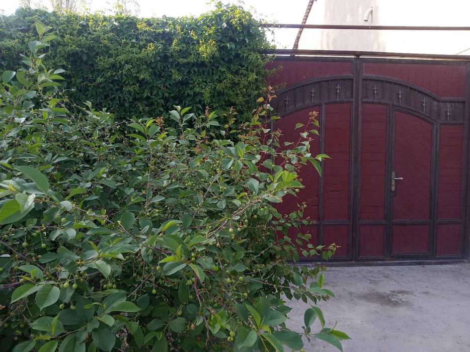 Дом участка 6 сотих 3 хона.