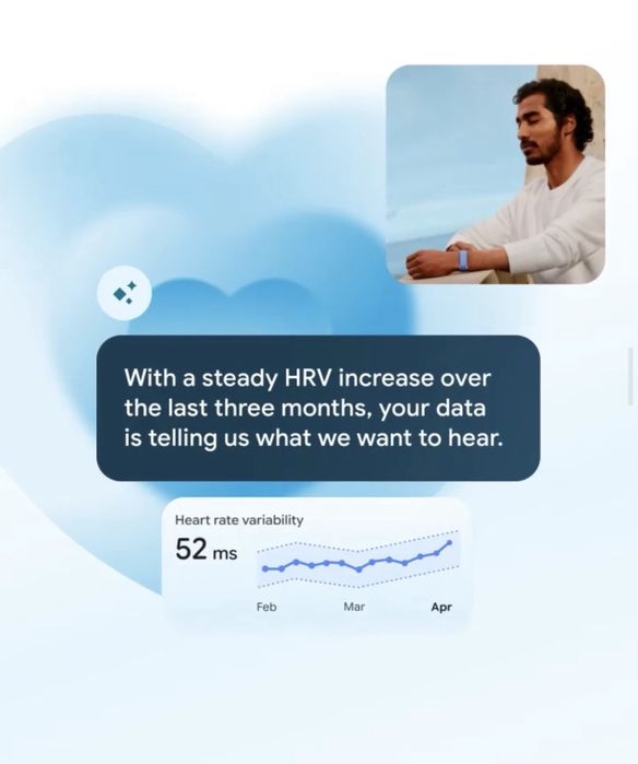 Google Fitbit Air Obsidian