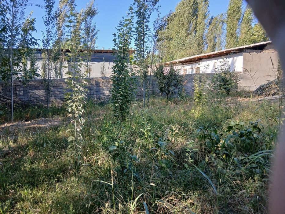 Uchastka sotiladi xamma sharoitlari bor oladigan kelishtirib beramiza