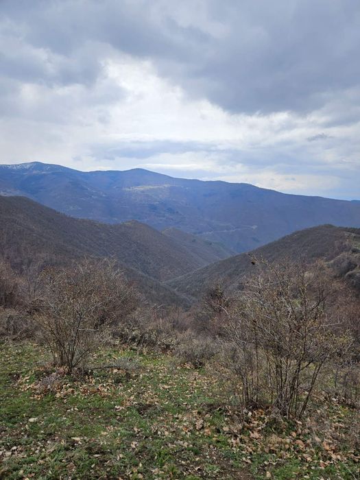 Продава имот в Рилски Манастир,с.Падала