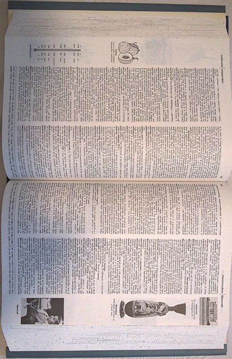 НОВ Речник английски тълковен 200хил.думи ВИСОКО КАЧЕСТВО на изданието