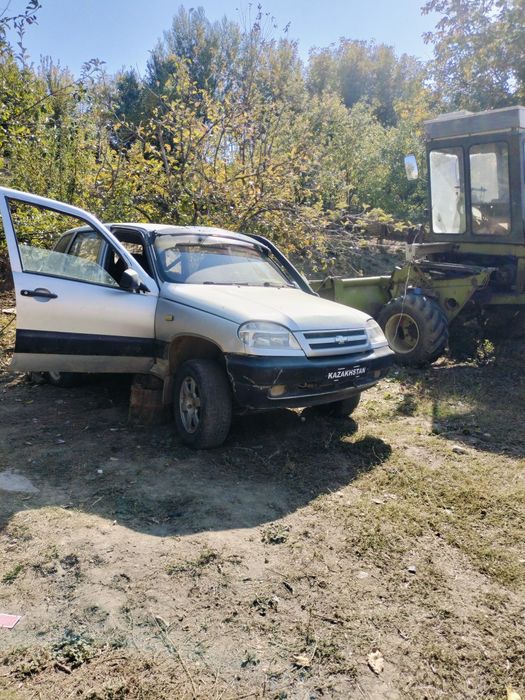 Сырошына пырадия утса