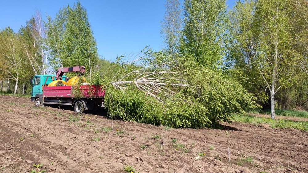 Услуги манипулятора