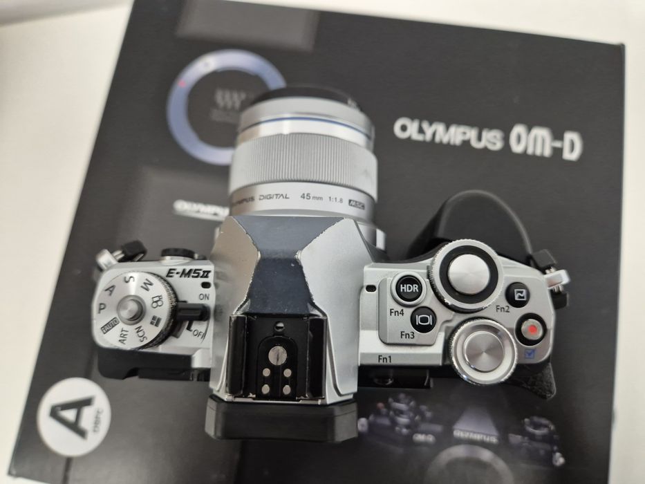 Olympus OMD EM5 MKII + Olympus  45MM/F1.8 + външна светкавица