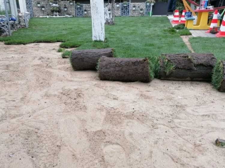 Gazon Rulou Calitate extra