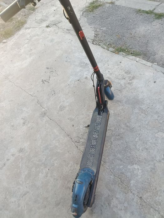 Tribe himba pro самакат