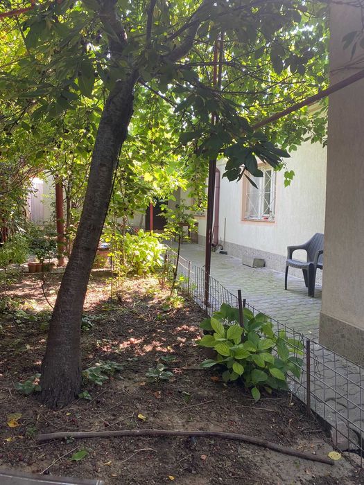 Casa zona Colentina
