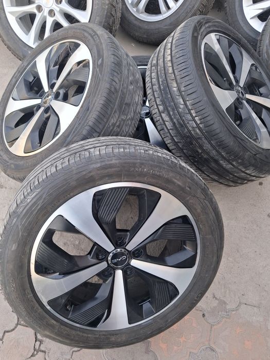 19 Buvaydi song plus diska balon