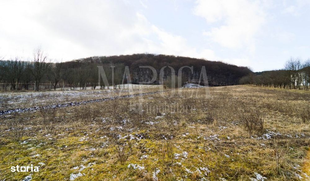 Teren extravilan pentru constructii de vanzare in Popesti