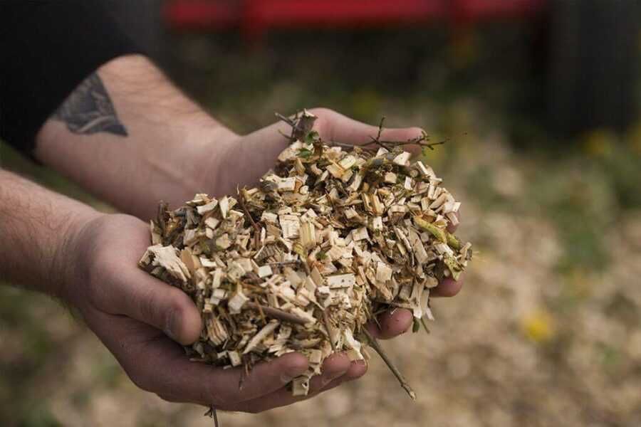 Tocator de crengi MB-60BD, ARPAL, ∅ max. 60 mm Garanție 3 ani