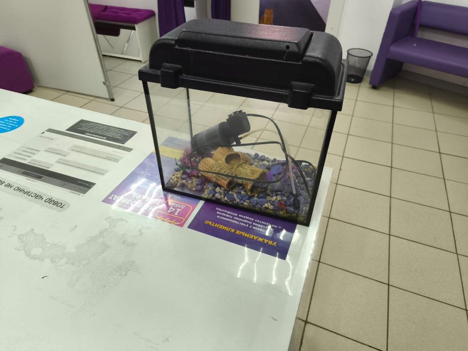 Аквариум в идеале все в комплекте