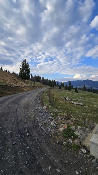Teren de vanzare Colibița