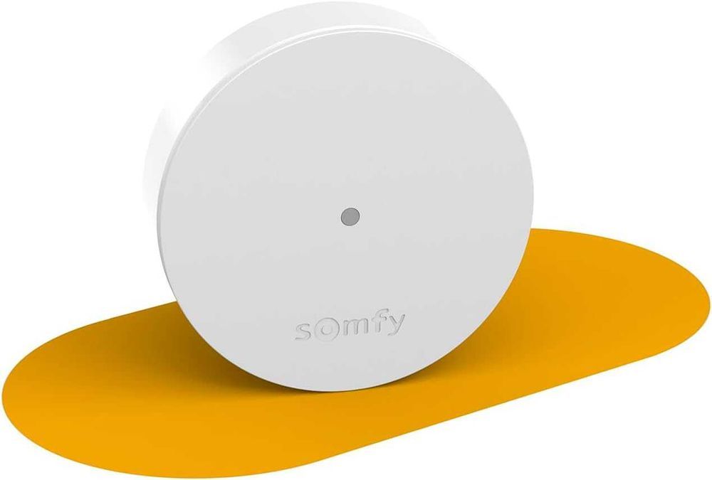 Extensie radio Somfy Protect, Compatibil cu Somfy One, One+