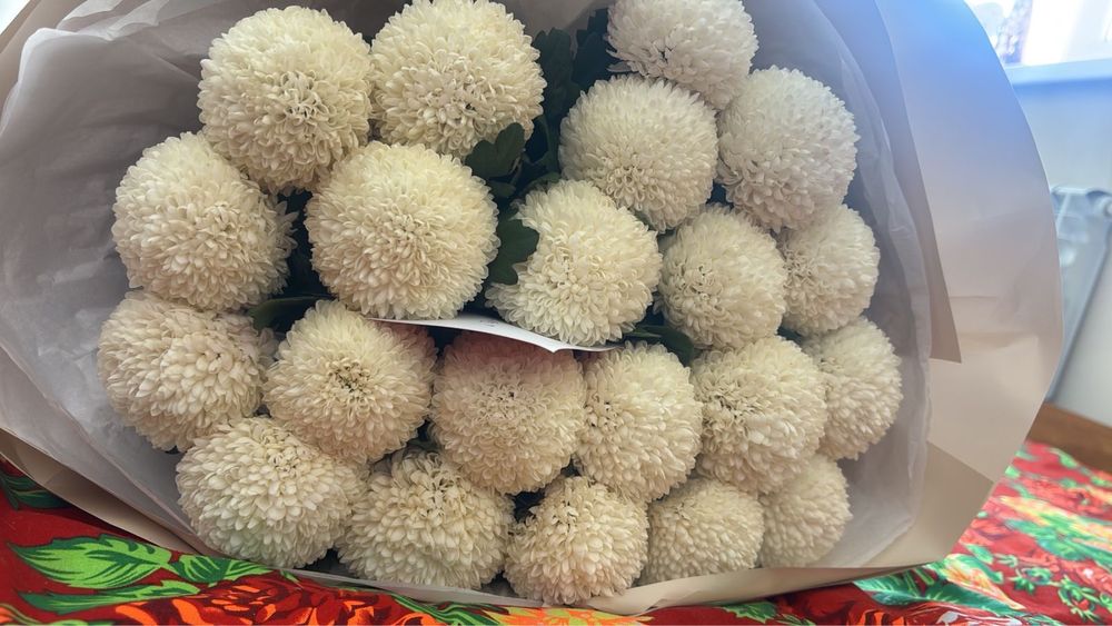 Цветы свежие срочно дешево!!