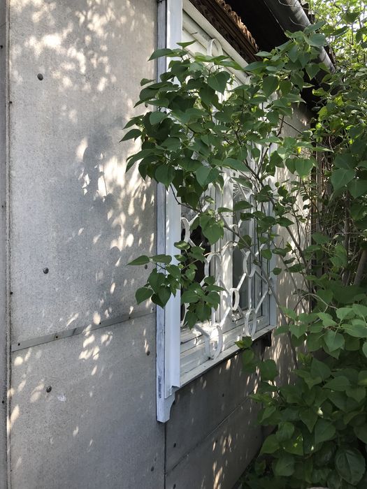 Продам дачу с домом