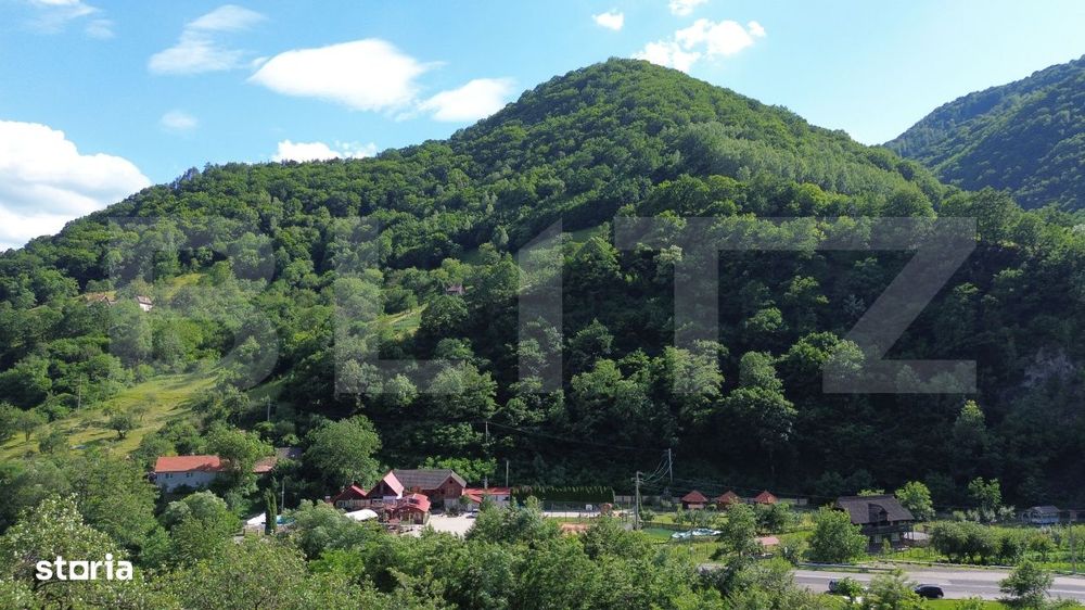 Casa traditionala - o investitie cu potential de dezvoltare, Capalna,