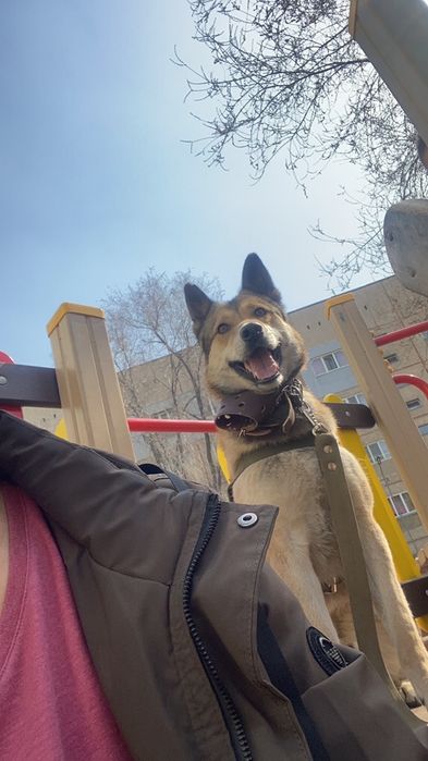 Зсл.Вязка.4года.