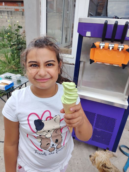 Tobogan Gonflabil,Aparat inghetata,vata de zahăr pe bat,spuma de baloane pt Inchiriat Arad 50km Împrejurimi