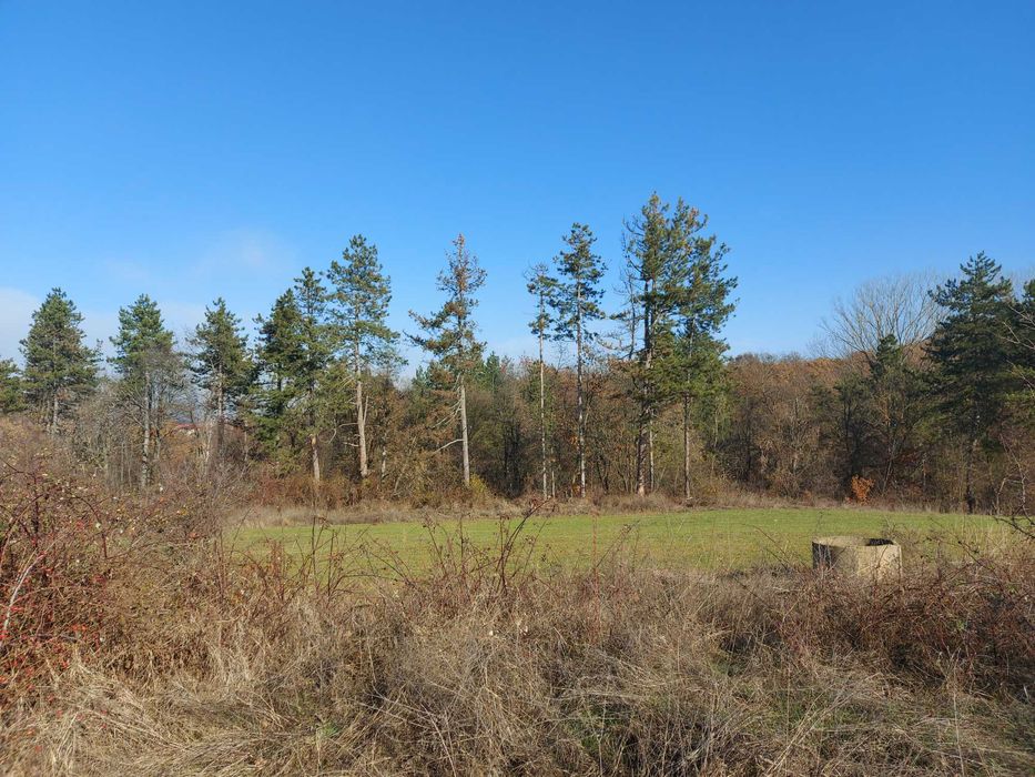 Продава се Парцел в с. Ягода, Област Стара Загора - 800 кв.м за 4 €/кв.м - Снимка #2