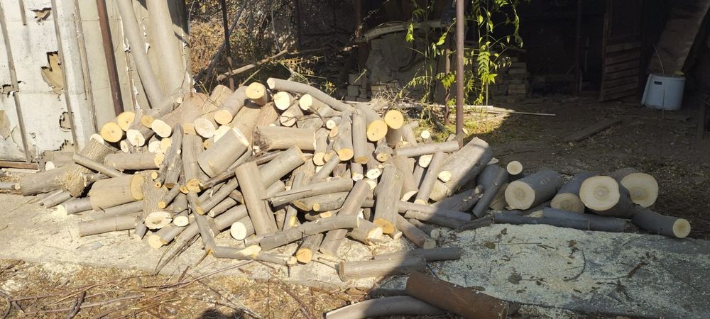 Кунда отин сотилади. Дрова