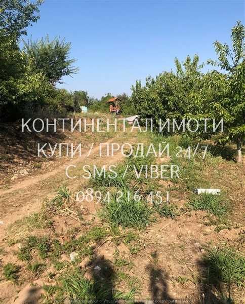 кодл 63086. Череши 4400м2 в отл. състояние, с ограда на 700м от селото