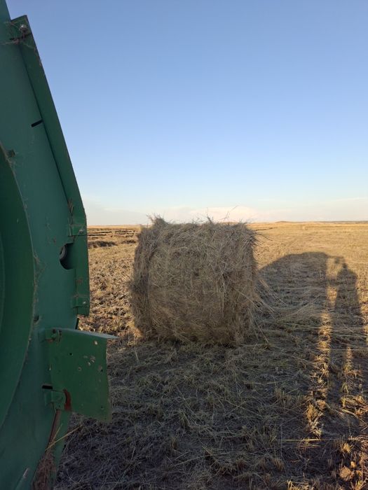 продам сено в рулонах