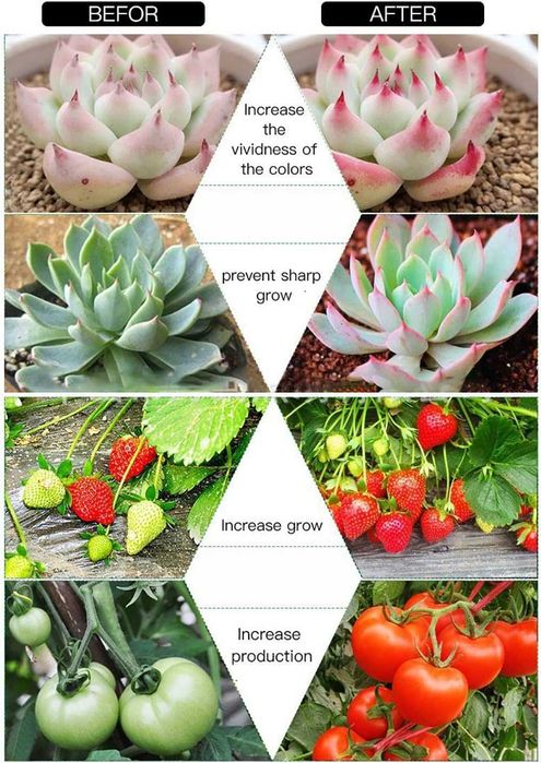 Светлина за отглеждане на растения