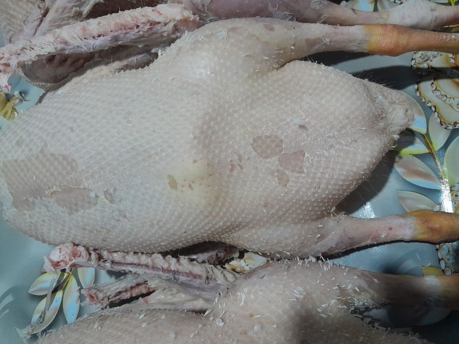 Продам все вопросы по телефону