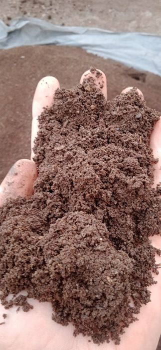 Сифатли биогумус ва Калифорния чувалчанглари