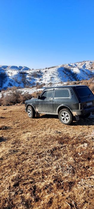 Niva  sotiladi holati zoʻr