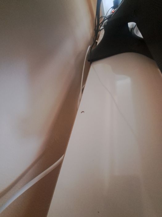 Бяла секция на Виденов