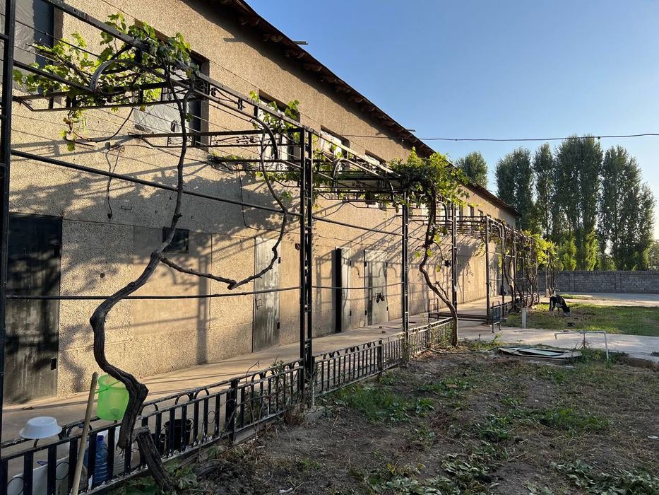 Commercial property for Rent – 5100 m2  near Tashkent