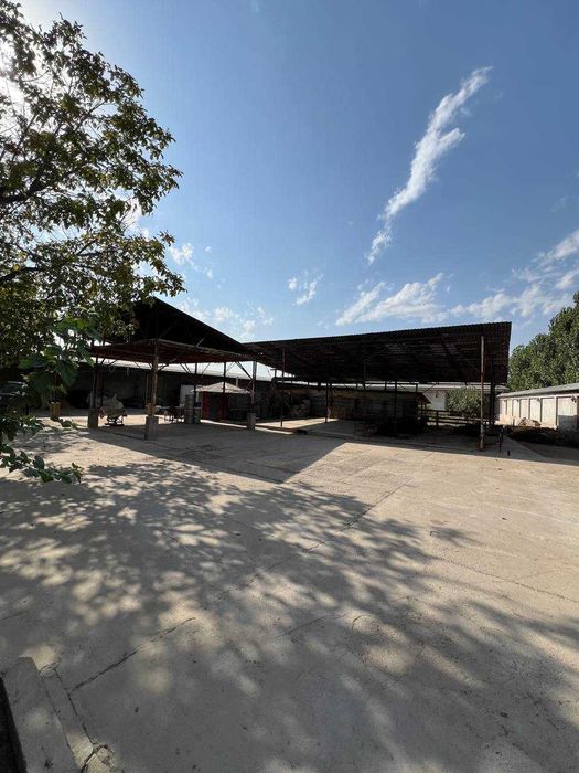 B11 Продается: Готовый ферма Зангиатинский_район от Иподром поста 8 км