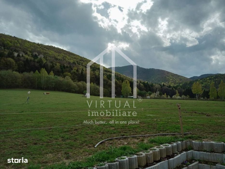 Teren intravilan de vanzare in Tocile, 3862 mp, priveliste spre padure