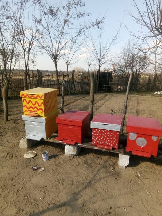 Vand stupi restaurati