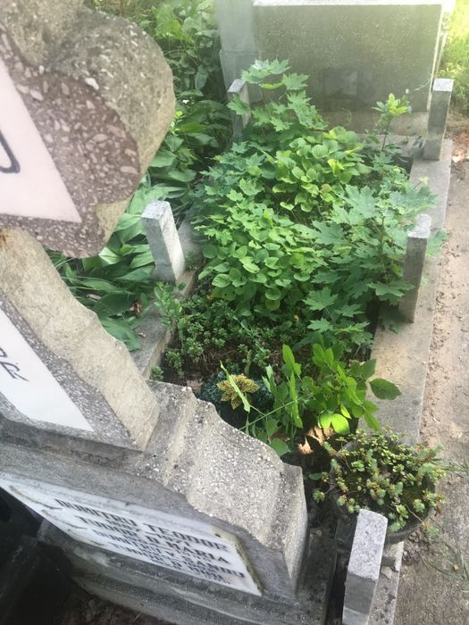 Loc de veci cimitir  Sf. Vineri