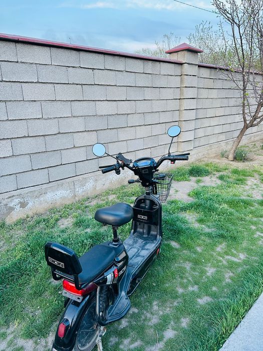 Нахаду Жүріп түр