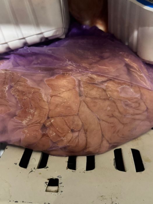 Продам кишки конские