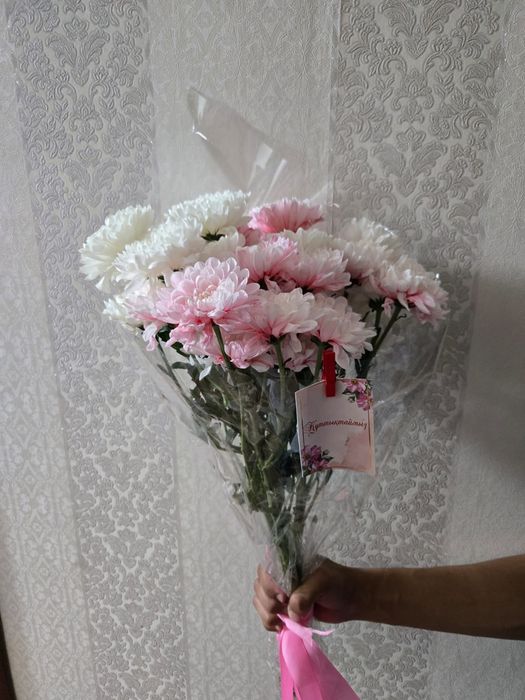 Разные цветы караганда