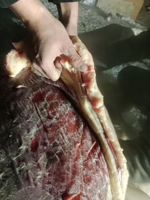 Продам тай бармак казы