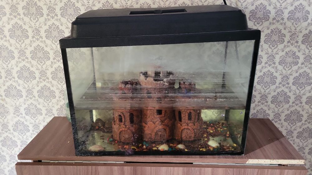 Аквариум 30000тг