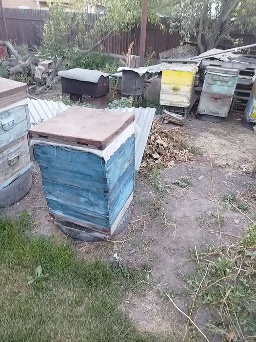 Улики для пчел двух ярусные