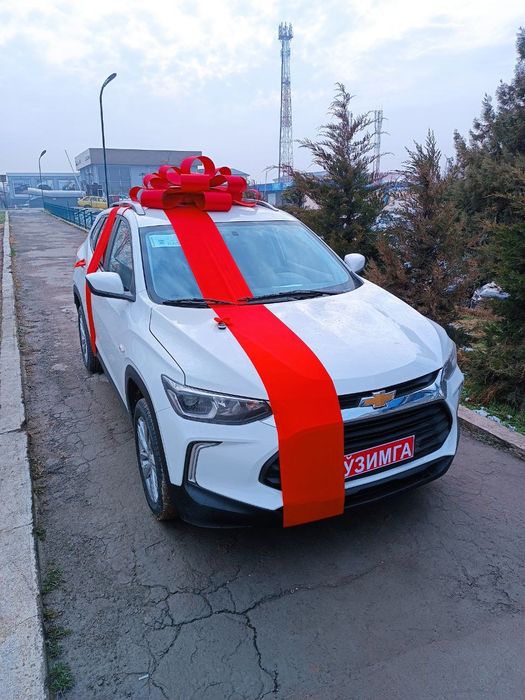 Kotta bantik bant lenta avtobantik МЕД ГОРОДОК